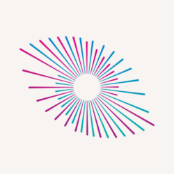 Toraguard site icon